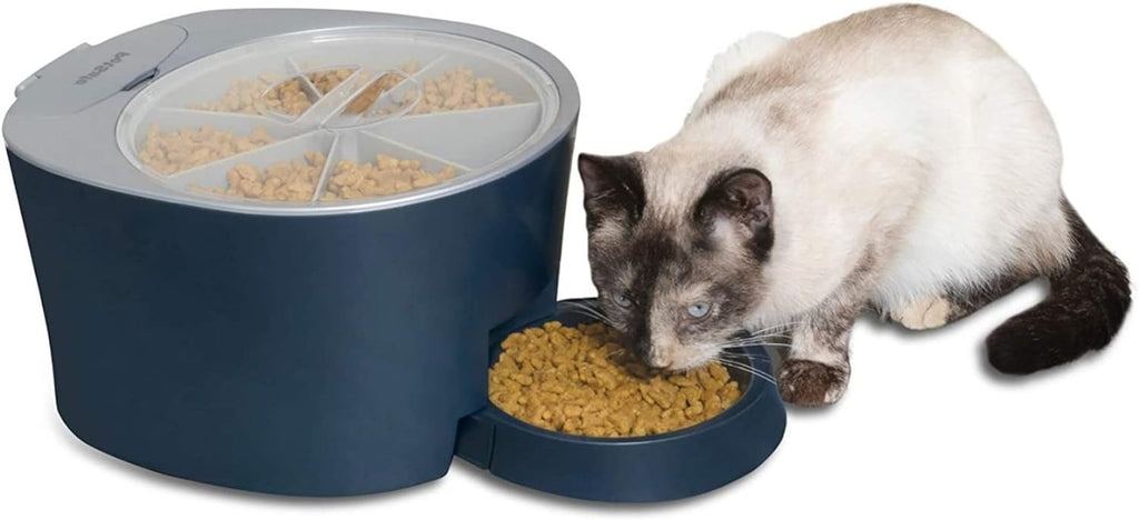 PetSafe Automatic 6 Meal Pet Feeder