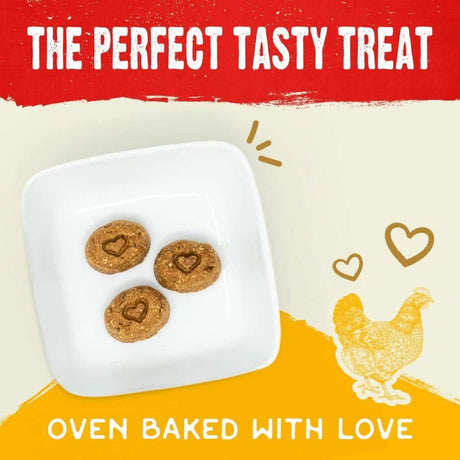 Stella & Chewy's Dog Treat Freeze-Dried Raw Coated Biscuits Cage-Free Chicken Recipe