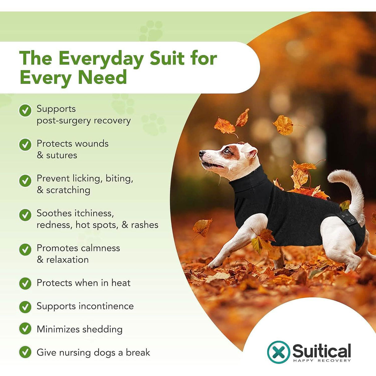 Suitical Recovery Suit for Dogs - Black