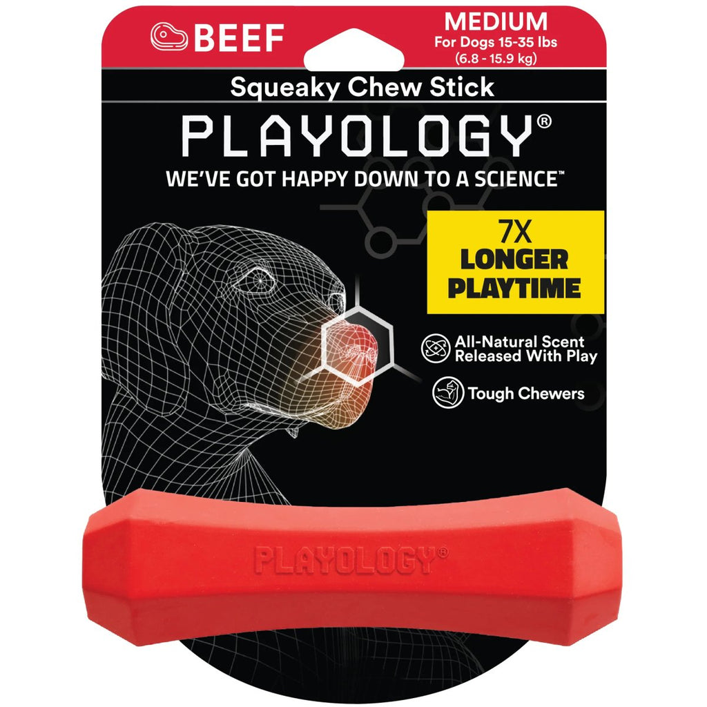 Playology Dog Toy Squeaky Chew Stick - Beef Scent