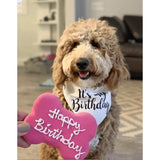 Huesos de feliz cumpleaños para perros de Claudia's Canine Bakery