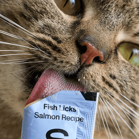 Smalls Cat Treat Digestion Support Salmon Fish Licks 4oz (1 Pack of 8 Licks)