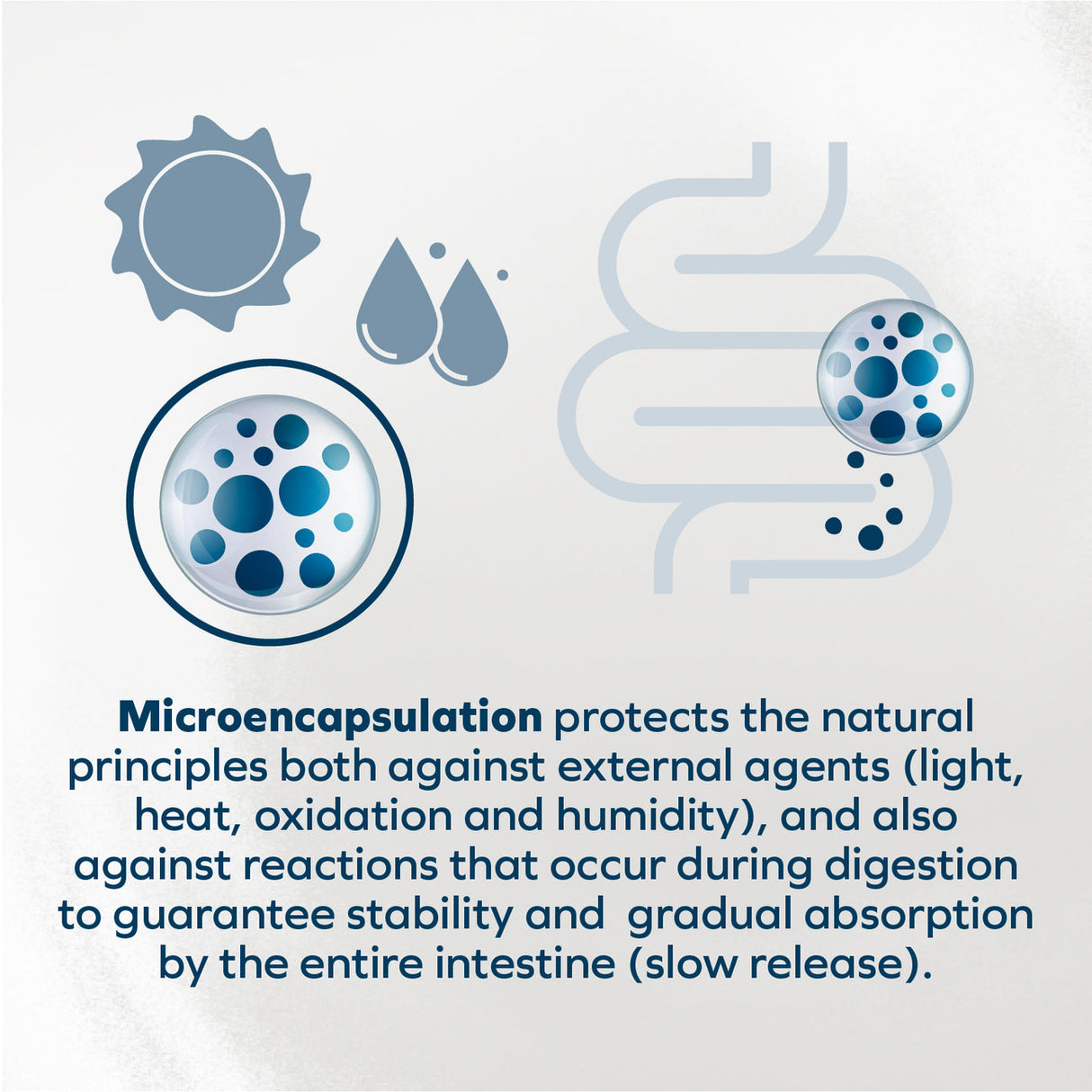 FORZA10 Wet Cat Food Hypoallergenic Fish 3.5oz