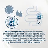 FORZA10 Wet Cat Food Hypoallergenic Fish 3.5oz