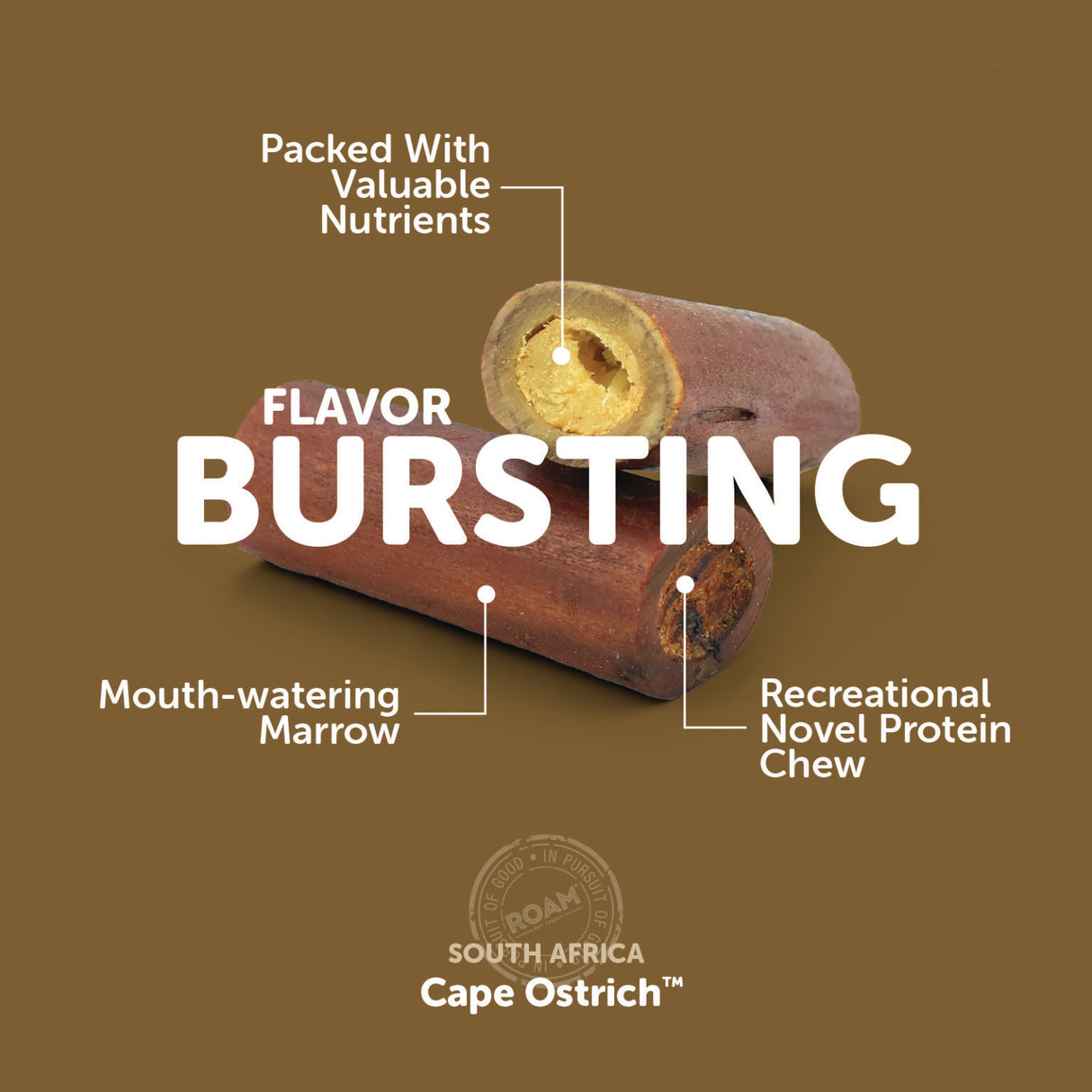 Roam Smoked Marrow Bone Cape Ostrich Treat for Dogs