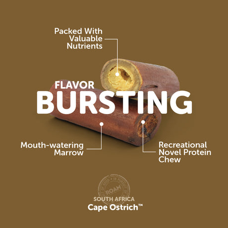 Roam Smoked Marrow Bone Cape Ostrich Treat for Dogs