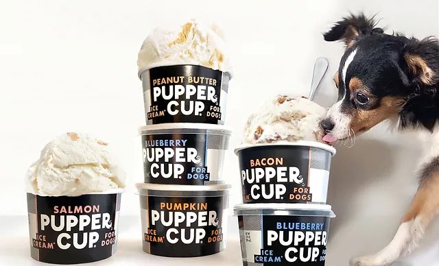 The Pupper Cup Dog Treat Frozen Ice Cream - Assorted Flavors