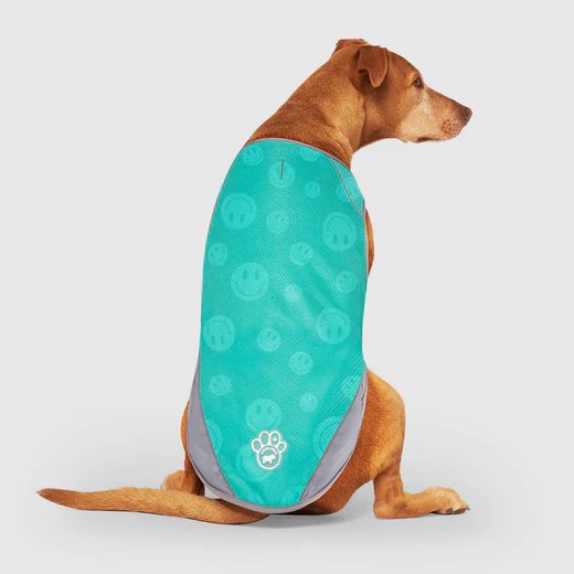 Canada Pooch Chill Seeker Cooling Vest - Green with Smiley Wet Reveal