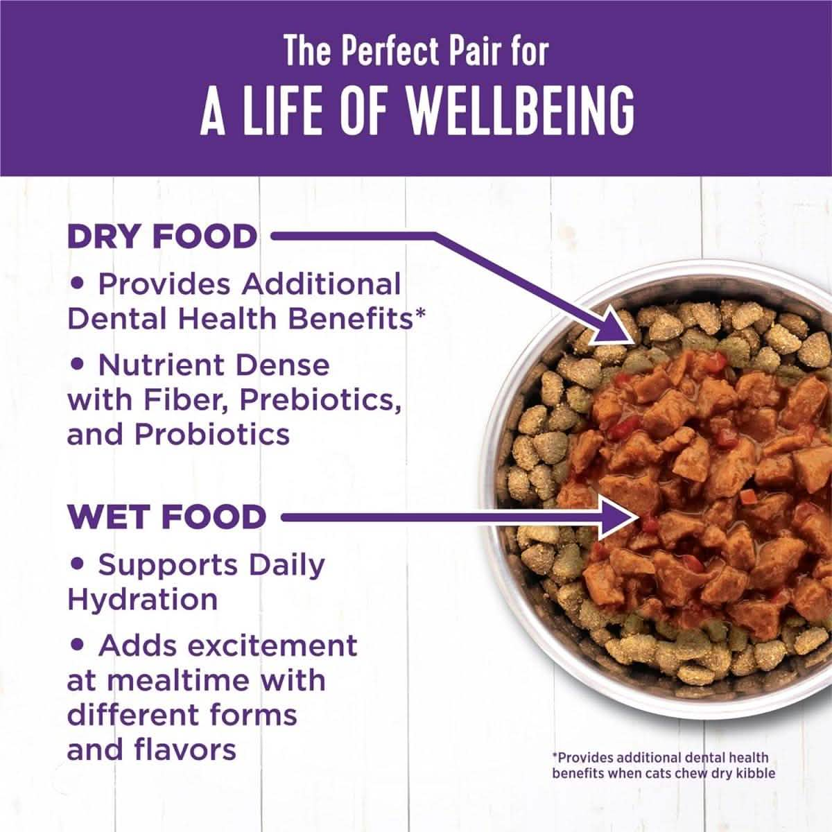 Wellness Wet Cat Food Complete Health Minced Salmon Dinner