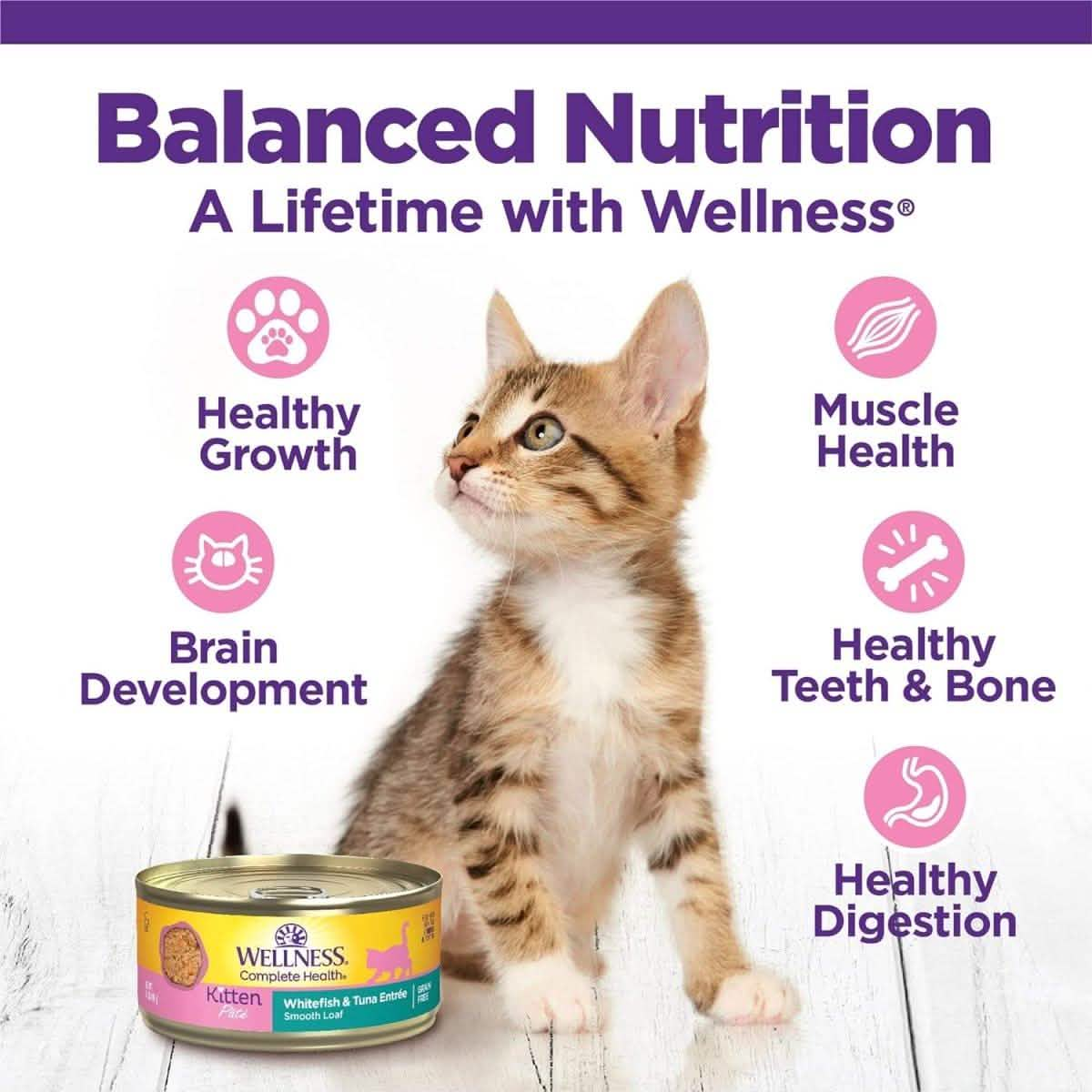 Wellness Wet Cat Food Complete Health Paté Kitten Whitefish & Tuna Entrée