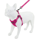 Voyager Step-In Flex Adjustable Pet Harness - Fuchsia