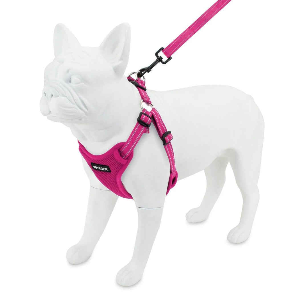 Voyager Step-In Flex Adjustable Pet Harness - Fuchsia