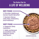 Wellness Wet Cat Food Complete Health Paté Turkey & Salmon Entrée