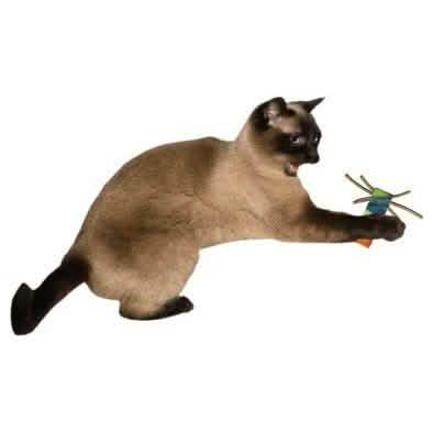 Cat Dancer Cat Toy Whisker Chasers (2 Pack)