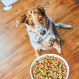 Stella & Chewy's Cooked Frozen Dog Food FreshMade Beef, Barley & Turkey Recipe