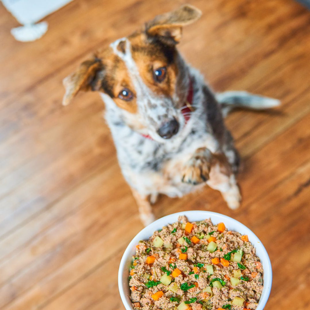 Stella & Chewy's Cooked Frozen Dog Food FreshMade Beef, Barley & Turkey Recipe