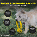 Playology Dog Toy Tough Tug Knot for Puppies - Chicken Scent