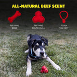 Playology Dog Toy Teething Bone for Puppies - Beef Scent