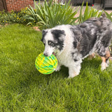 Kong Flexball Sport Ball (X-Large)