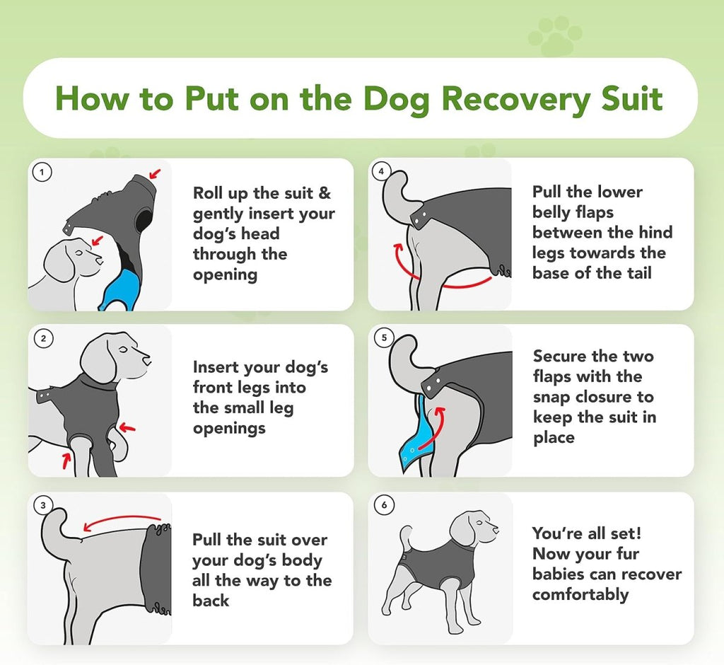 Suitical Recovery Suit for Dogs - Black