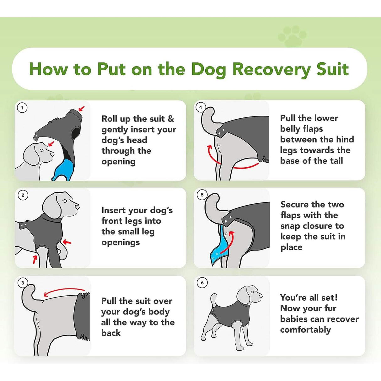 Suitical Recovery Suit for Dogs - Black