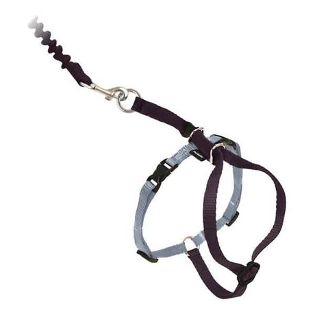 PetSafe Come With Me Kitty Harness & Bungee Leash