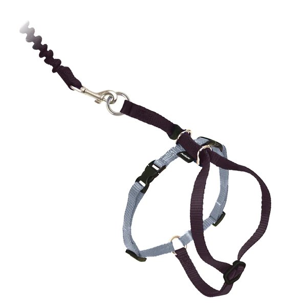 PetSafe Come With Me Kitty Harness & Bungee Leash