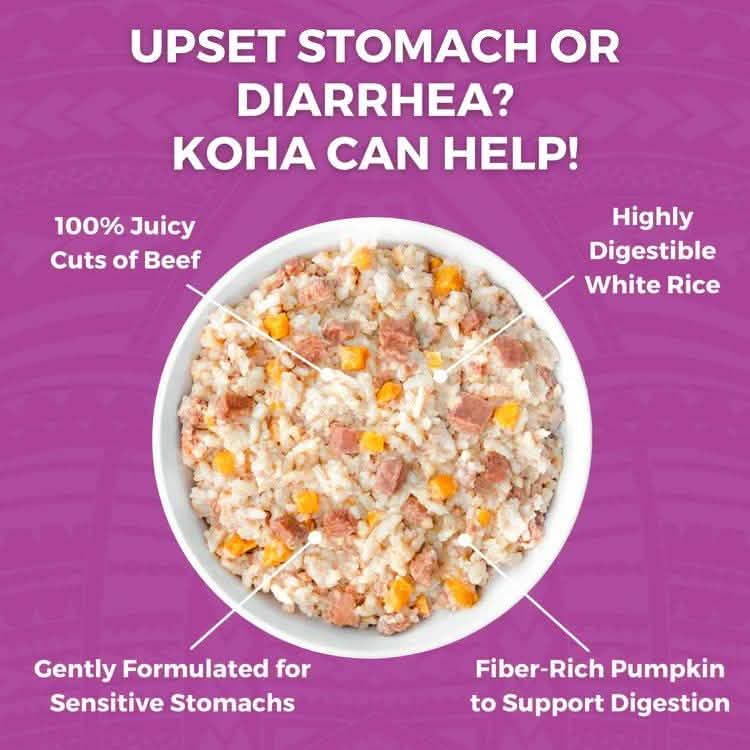 Koha Cooked Shelf Stable Dog Food Limited Ingredient Bland Diet Beef & White Rice with Pumpkin