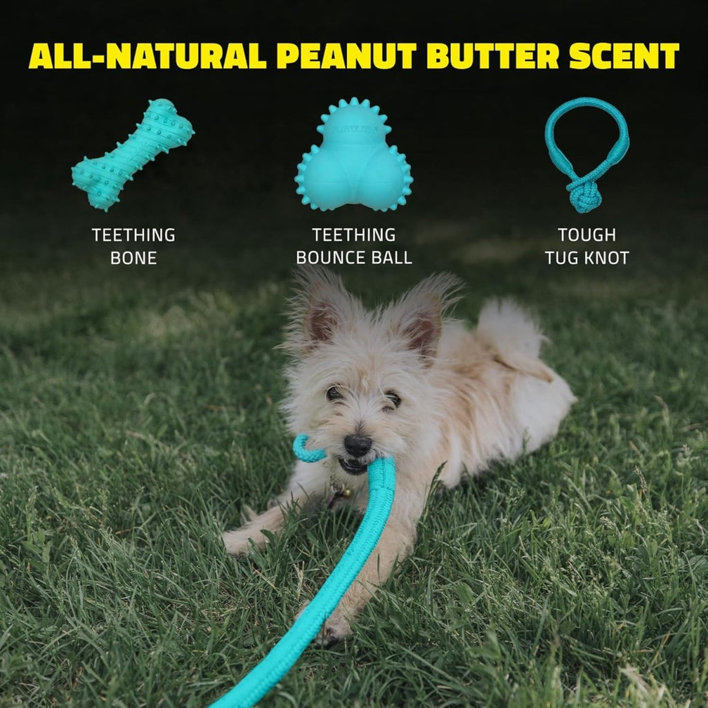 Playology Dog Toy Tough Tug Knot for Puppies - Peanut Butter Scent