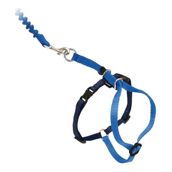 PetSafe Come With Me Kitty Harness & Bungee Leash