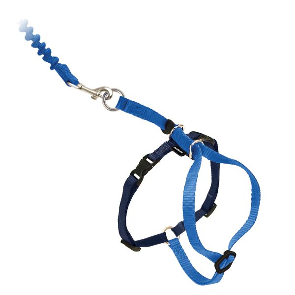 PetSafe Come With Me Kitty Harness & Bungee Leash