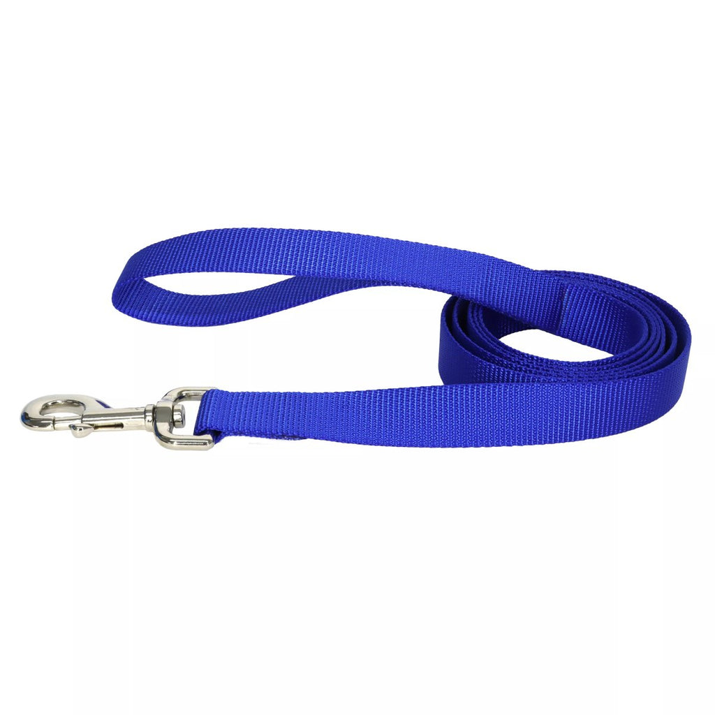 Coastal Nylon Leash 1" Wide Blue (Available in 4ft or 6ft)