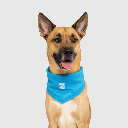 Canada Pooch Cooling Bandana - Blue