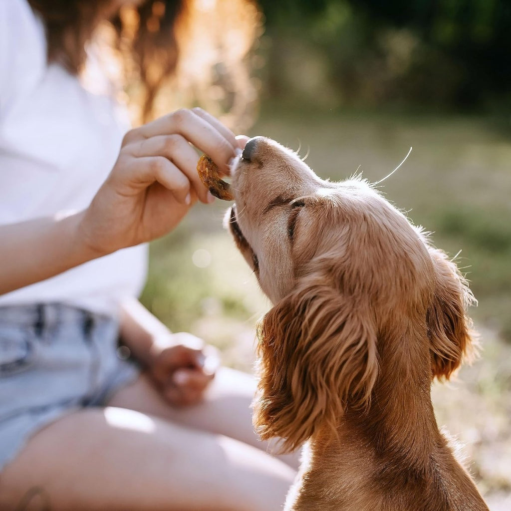 SmartBones Dog Treat Protein Rings with Real Chicken & Sweet Potato