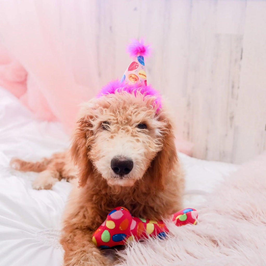 Huxley & Kent Happy Birthday Party Hat with SnugFit® - Pink