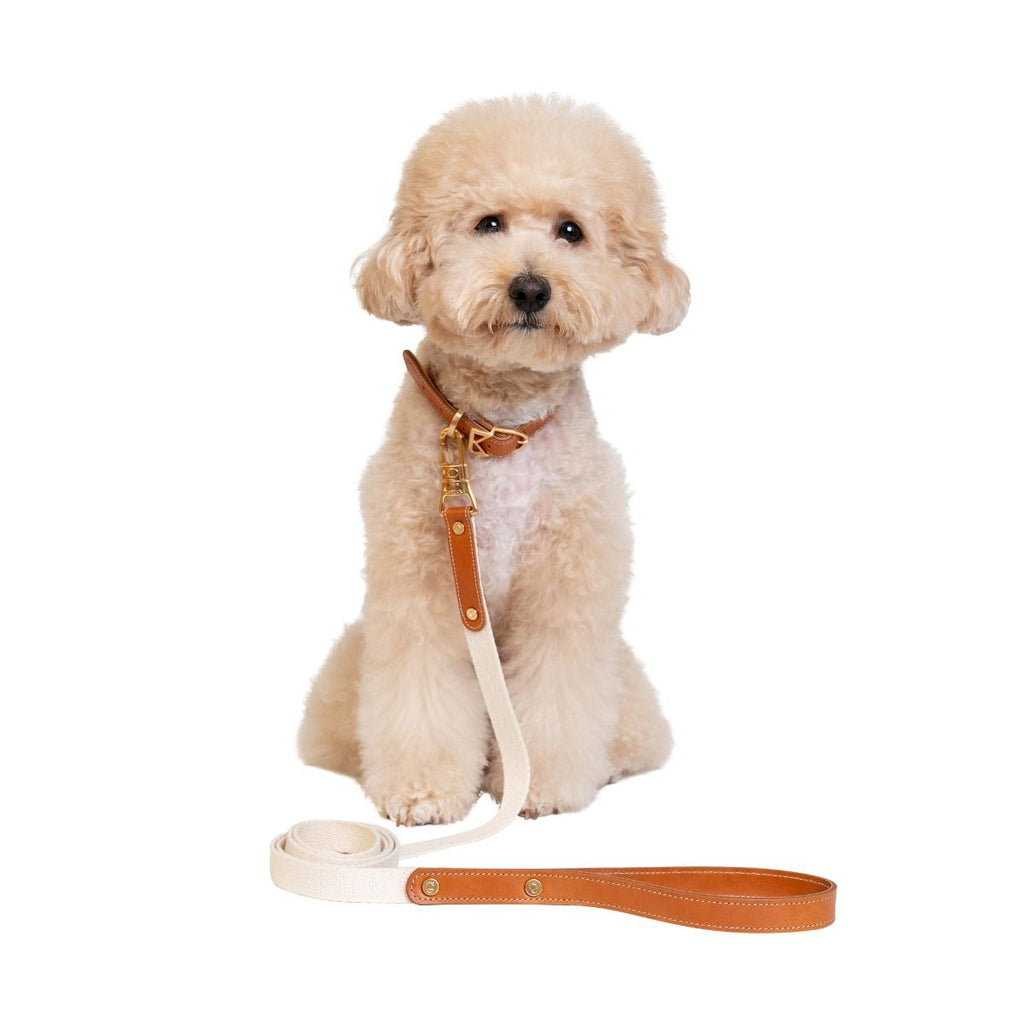 KanDog Roma Leather Leash - Mahogany/Ivory