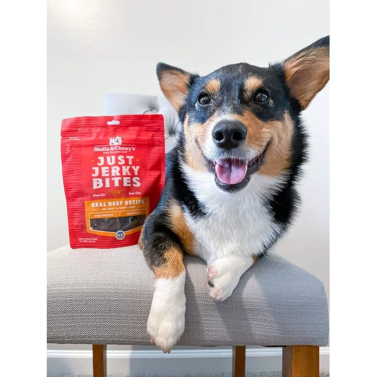 Stella & Chewy's Dog Treat Just Jerky Bites Real Beef Recipe