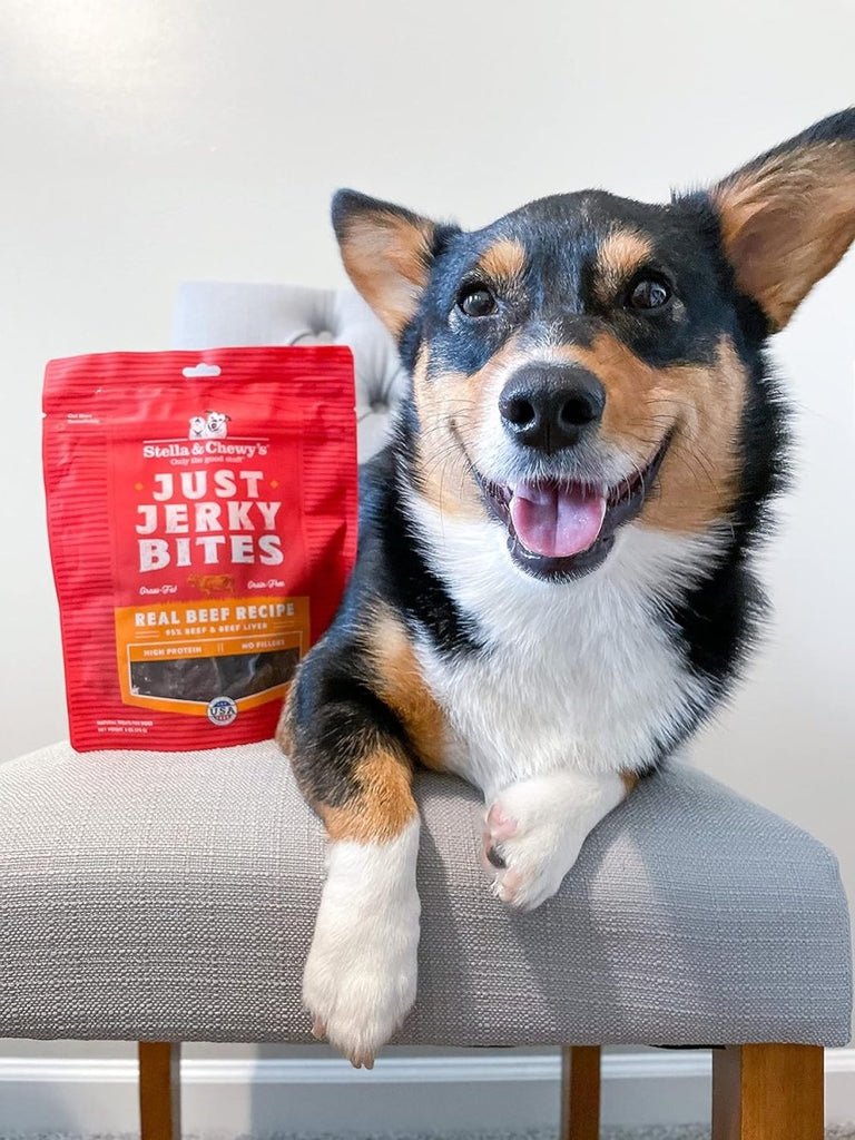 Stella & Chewy's Dog Treat Just Jerky Bites Real Beef Recipe