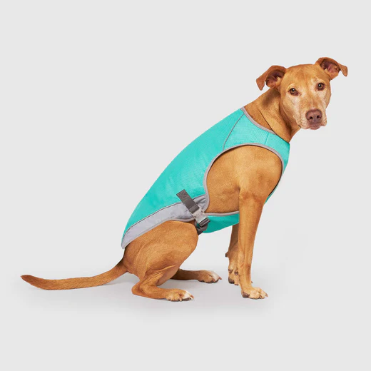 Canada Pooch Chill Seeker Cooling Vest - Green with Smiley Wet Reveal