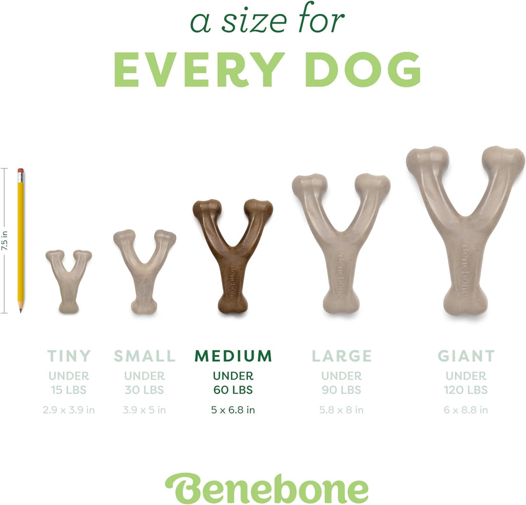 Benebone Dog Toy Wishbone Bacon Flavor