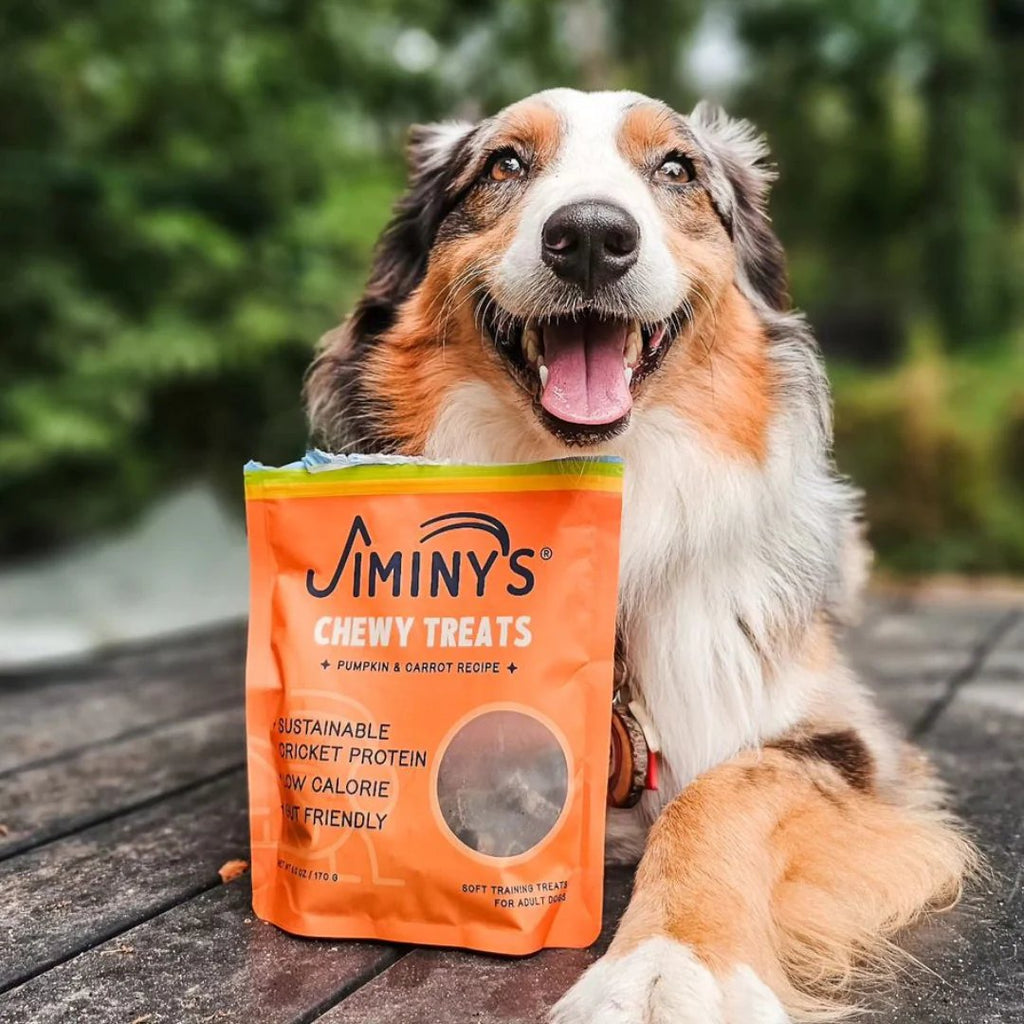 Jiminy's Dog Treat Chewy Cricket Treat Pumpkin & Carrot Recipe