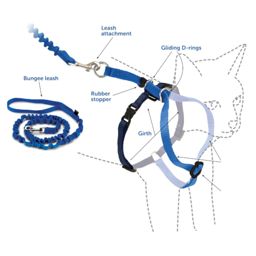 PetSafe Come With Me Kitty Harness & Bungee Leash