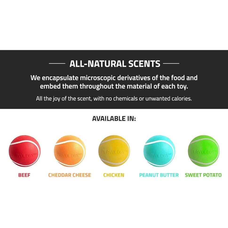 Playology Dog Toy Squeaky Chew Ball - Peanut Butter Scent