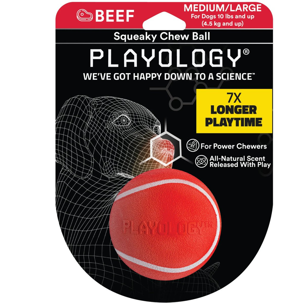 Playology Dog Toy Squeaky Chew Ball - Beef Scent