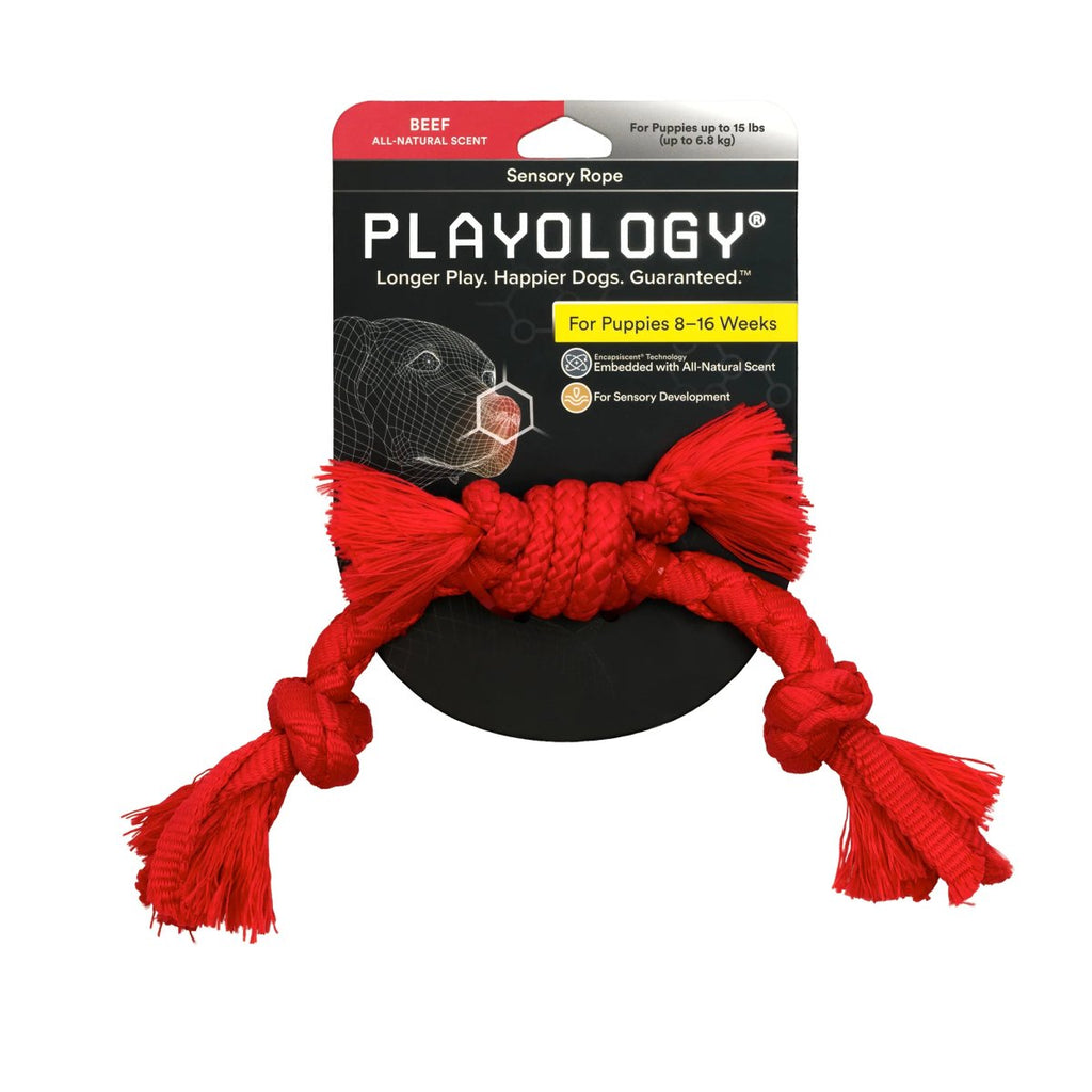 Playology Dog Toy Sensory Rope for Puppies - Beef Scent