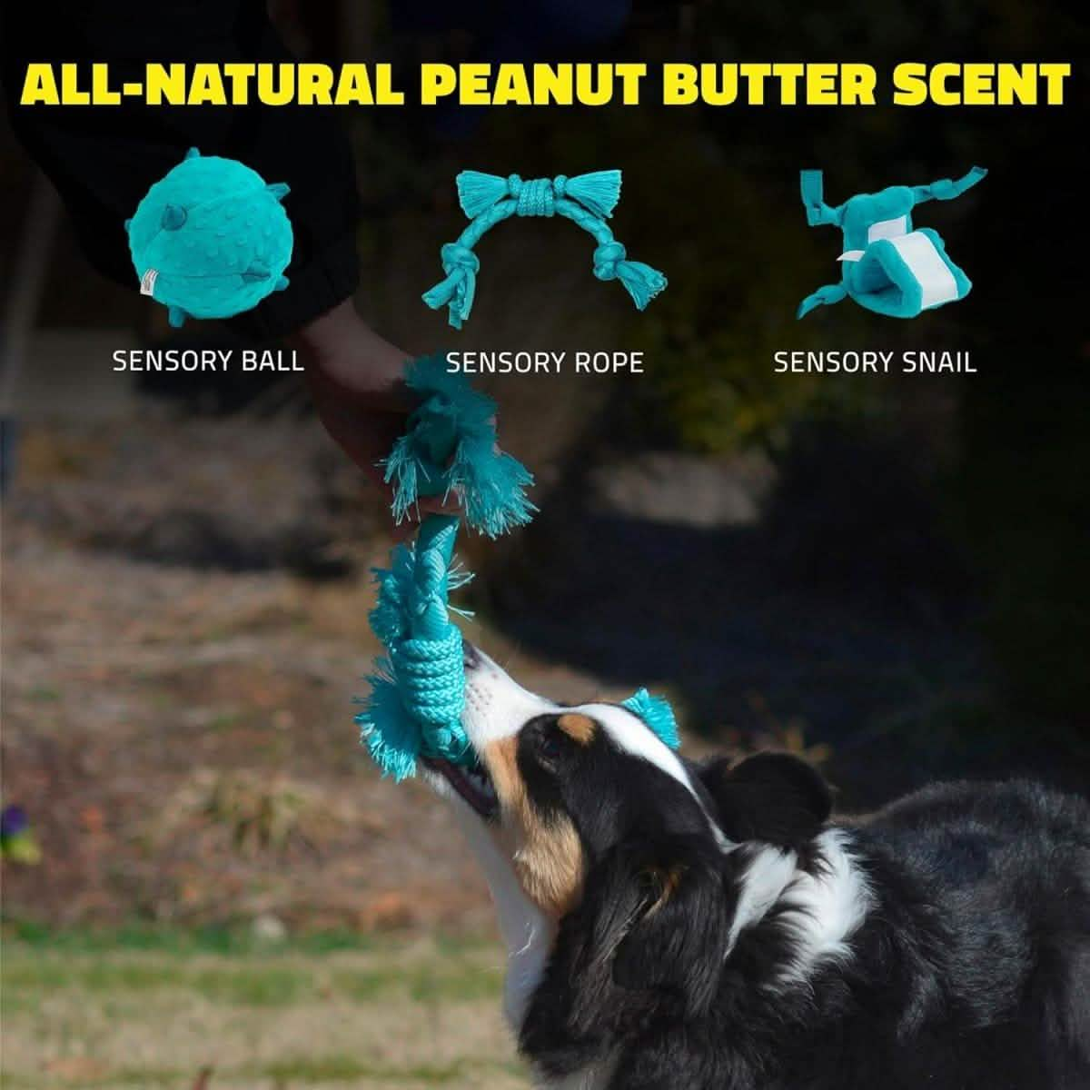 Playology Dog Toy Sensory Rope for Puppies - Peanut Butter Scent