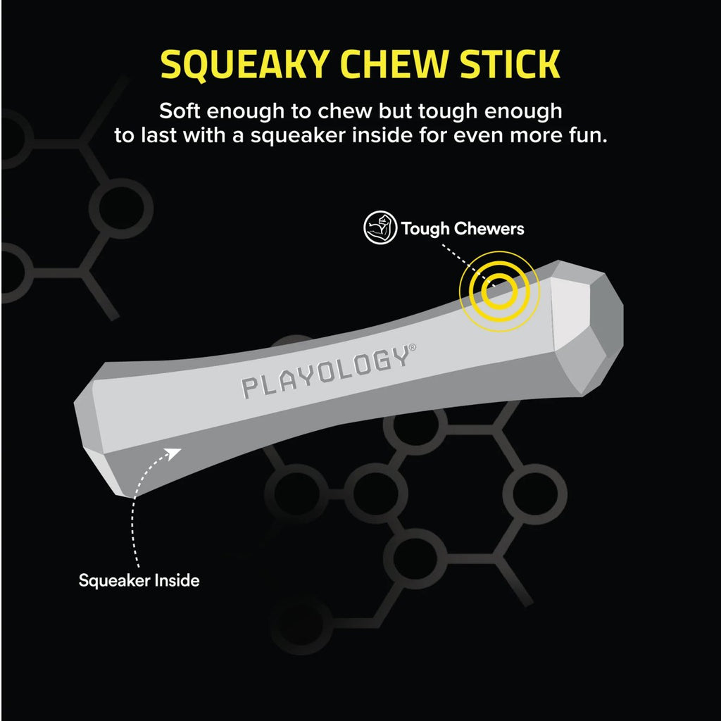 Playology Dog Toy Squeaky Chew Stick - Chicken Scent