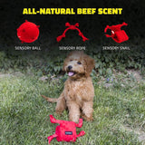 Playology Dog Toy Sensory Snail for Puppies - Beef Scent