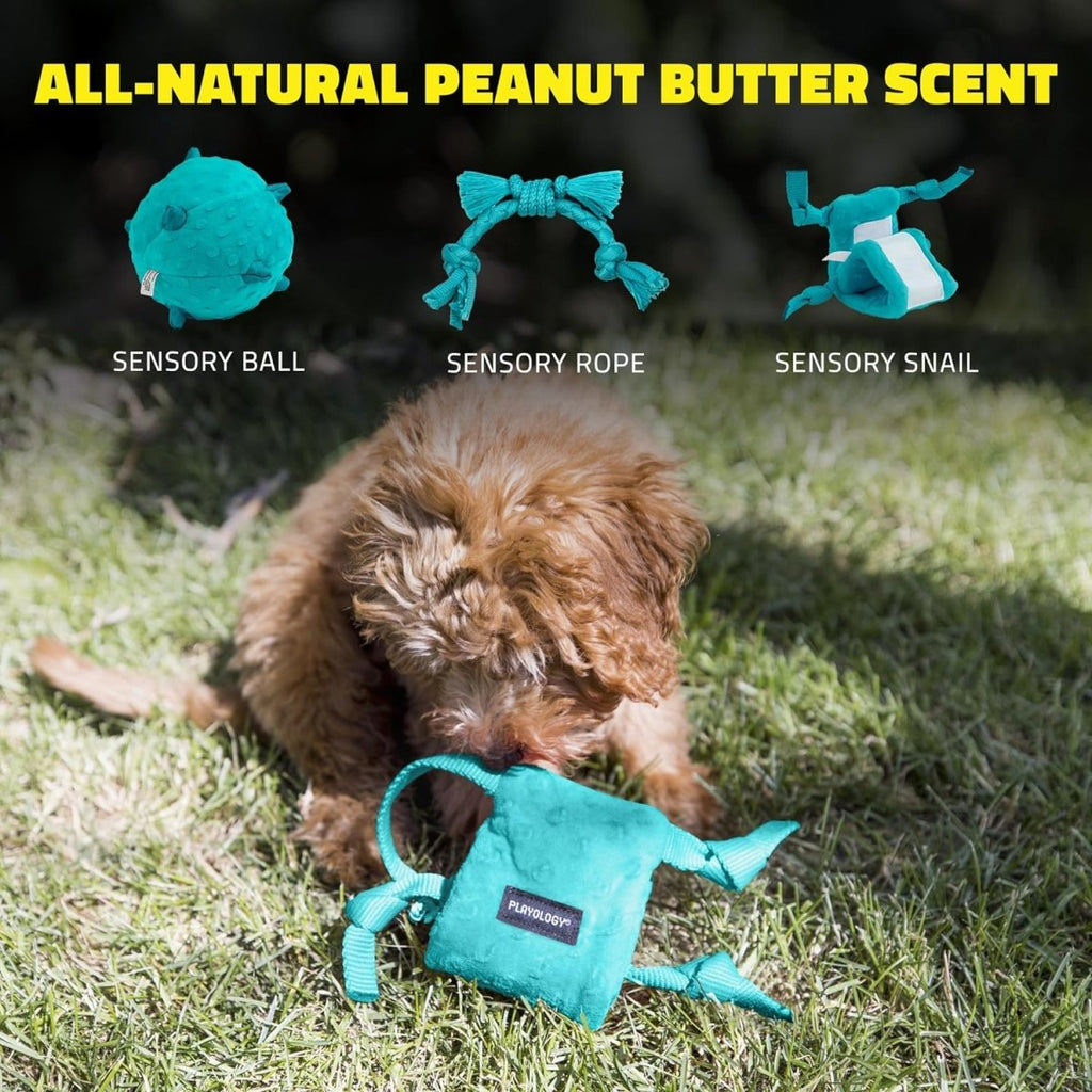 Playology Dog Toy Sensory Snail for Puppies - Peanut Butter Scent