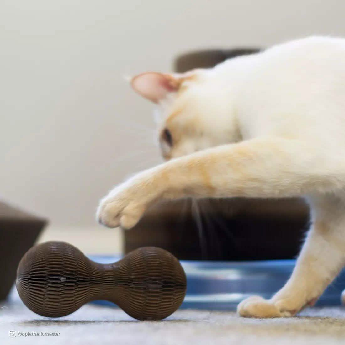 Turbo by Coastal Cat Toy Corrugated Cardboard Ball